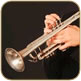 horn-section