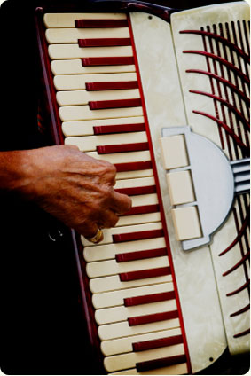 Accordion Player
