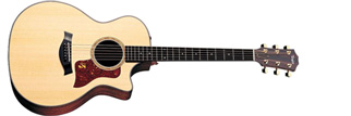 fender